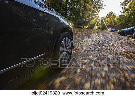 Car driving on a street covered with leaves, in autumn, dangerous driving conditions, danger of accident View Large Photo Image Stock Image - Car driving on a street covered with leaves, in autumn, dangerous driving conditions, danger of accident. Fotosearch