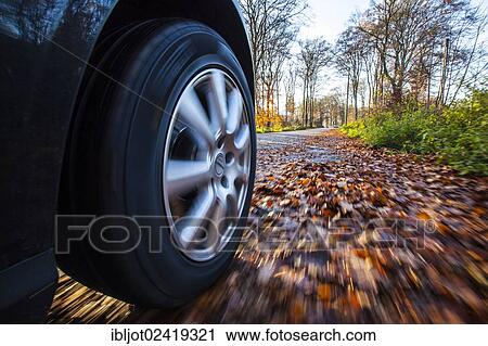 Car driving on a street covered with leaves, in autumn, dangerous driving conditions, danger of accident View Large Photo Image Stock Image - Car driving on a street covered with leaves, in autumn, dangerous driving conditions, danger of accident. Fotosearch