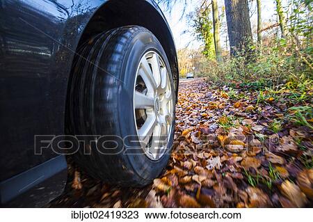 Car driving on a street covered with leaves, in autumn, dangerous driving conditions, danger of accident View Large Photo Image Stock Image - Car driving on a street covered with leaves, in autumn, dangerous driving conditions, danger of accident. Fotosearch