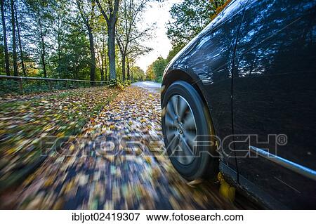 Car driving on a street covered with leaves, in autumn, dangerous driving conditions, danger of accident View Large Photo Image Stock Photo - Car driving on a street covered with leaves, in autumn, dangerous driving conditions, danger of accident. Fotosearch