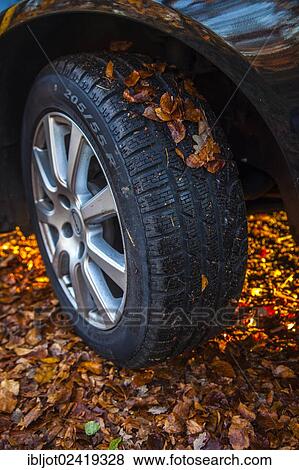 Car driving on a street covered with leaves, in autumn, dangerous driving conditions, danger of accident View Large Photo Image Stock Photo - Car driving on a street covered with leaves, in autumn, dangerous driving conditions, danger of accident. Fotosearch