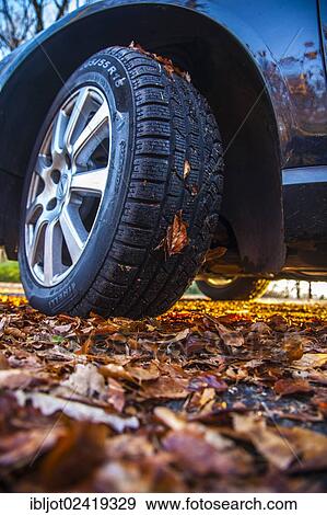 Car driving on a street covered with leaves, in autumn, dangerous driving conditions, danger of accident View Large Photo Image Stock Photo - Car driving on a street covered with leaves, in autumn, dangerous driving conditions, danger of accident. Fotosearch