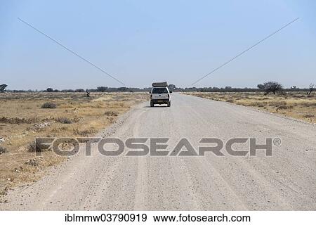 "Car on dirt road, Etosha National Park, Namibia, Africa" View Large Photo Image Stock Photo - "Car on dirt road, Etosha National Park, Namibia, Africa". Fotosearch