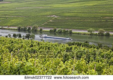 Stock Image - "Cargo ship on the Moselle river near Trier, near Nittel, Konz, Rhineland-Palatinate, Germany, Europe". Fotosearch