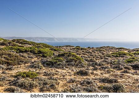 "Carrapateira, Algarve, west coast, Portugal, Atlantic Ocean, Europe" View Large Photo Image Stock Image - "Carrapateira, Algarve, west coast, Portugal, Atlantic Ocean, Europe". Fotosearch