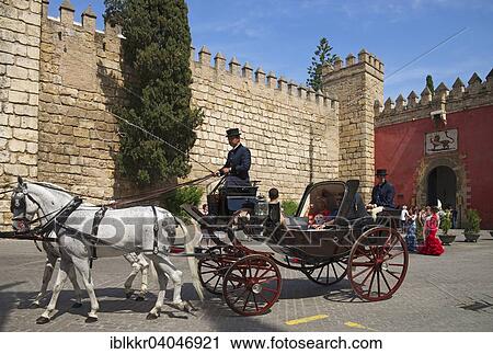 "Carriage at the Plaza del Triunfo, Real Alcazar, Seville, Andalucia, Spain, Europe" View Large Photo Image Stock Image - "Carriage at the Plaza del Triunfo, Real Alcazar, Seville, Andalucia, Spain, Europe". Fotosearch