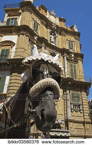 Stock Photograph - "Carriage horse, Palermo, Province of Palermo, Sicily, Italy, Europe". Fotosearch