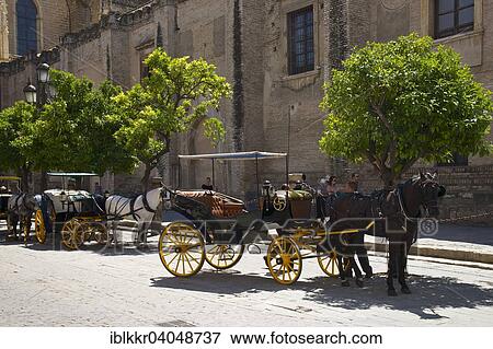 "Carriages in the old town, Barrio Santa Cruz, Seville, Andalucia, Spain, Europe" View Large Photo Image Stock Photo - "Carriages in the old town, Barrio Santa Cruz, Seville, Andalucia, Spain, Europe". Fotosearch