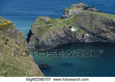Stock Photo - "Carrick-a-Rede Bridge, suspension bridge, Moyle, Northern Ireland, United Kingdom, Europe". Fotosearch