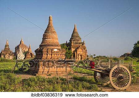 "Cart and a bicycle in front of pagoda, temples, stupas in the temple complex of the Plateau of Bagan, Mandalay Division, Myanmar or Burma" View Large Photo Image Stock Photo - "Cart and a bicycle in front of pagoda, temples, stupas in the temple complex of the Plateau of Bagan, Mandalay Division, Myanmar or Burma". Fotosearch