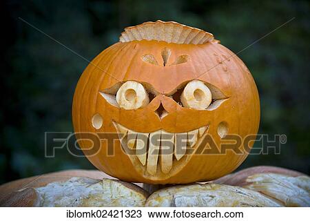 Carved pumpkin for Halloween, Baden-Wuerttemberg, Germany, Europe View Large Photo Image Stock Image - Carved pumpkin for Halloween, Baden-Wuerttemberg, Germany, Europe. Fotosearch