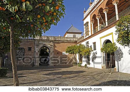 "Casa de Pilatos or Pilate's House, a palace and museum, Seville, Andalusia, Spain, Europe" View Large Photo Image Stock Photography - "Casa de Pilatos or Pilate's House, a palace and museum, Seville, Andalusia, Spain, Europe". Fotosearch