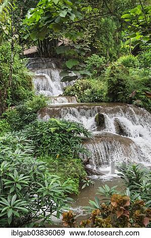 "Cascade, Chiang Mai, Thailand, Asia" View Large Photo Image Stock Photo - "Cascade, Chiang Mai, Thailand, Asia". Fotosearch