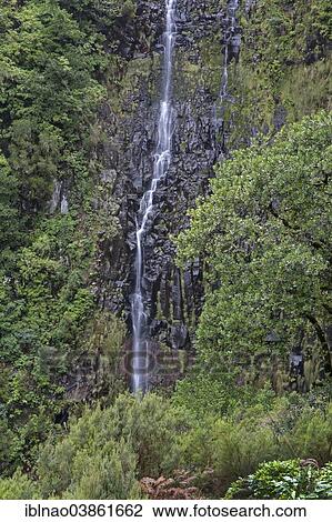 "Cascata do Risco or Risco Waterfall, in the Laurisilva laurel forest, UNESCO World Heritage Site, at Rabacal, Madeira, Portugal, Europe" View Large Photo Image Stock Image - "Cascata do Risco or Risco Waterfall, in the Laurisilva laurel forest, UNESCO World Heritage Site, at Rabacal, Madeira, Portugal, Europe". Fotosearch