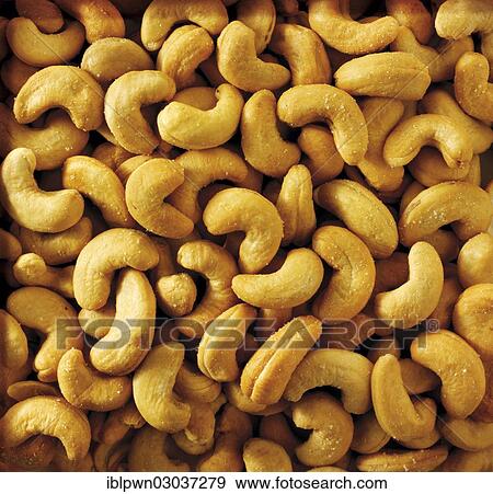 Cashew nuts View Large Photo Image Stock Photo - Cashew nuts. Fotosearch