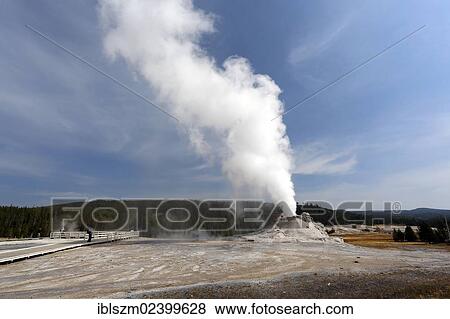 "Castle Geyer, Yellowstone National Park, Wyoming, USA" View Large Photo Image Stock Photo - "Castle Geyer, Yellowstone National Park, Wyoming, USA". Fotosearch