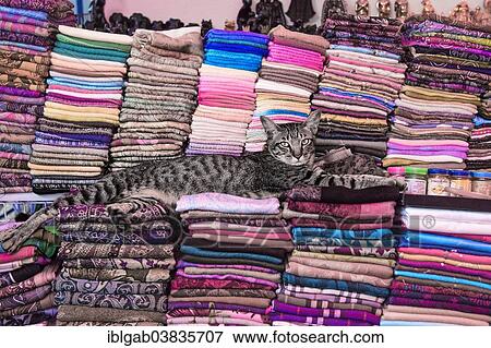"Cat lying on piles of fabric, Damnoen Saduak floating market, Ratchaburi, Bangkok, Thailand, Asia" View Large Photo Image Stock Photo - "Cat lying on piles of fabric, Damnoen Saduak floating market, Ratchaburi, Bangkok, Thailand, Asia". Fotosearch