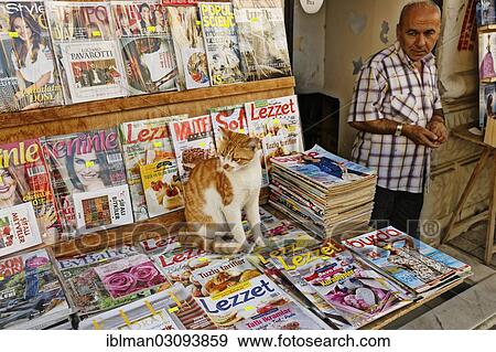 "Cat sitting on a magazine display in the market quarter, Kadikoy, Istanbul, Asian side, Istanbul Province, Turkey, Asia" View Large Photo Image Stock Photo - "Cat sitting on a magazine display in the market quarter, Kadikoy, Istanbul, Asian side, Istanbul Province, Turkey, Asia". Fotosearch