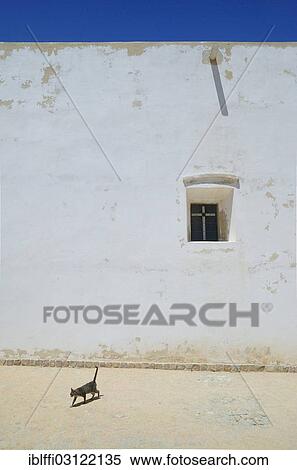 "Cat walking in front of the Da nossa Senhora do Guadalupe Chapel, Fortaleza de Sagres, Sagres, Algarve, Portugal, Europe" View Large Photo Image Stock Photography - "Cat walking in front of the Da nossa Senhora do Guadalupe Chapel, Fortaleza de Sagres, Sagres, Algarve, Portugal, Europe". Fotosearch