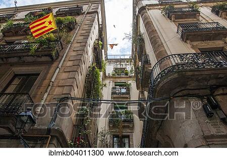 "Catalan flags in the Gothic Quarter of Barcelona, ​​Catalonia, Spain, Europe" View Large Photo Image Stock Image - "Catalan flags in the Gothic Quarter of Barcelona, ​​Catalonia, Spain, Europe". Fotosearch