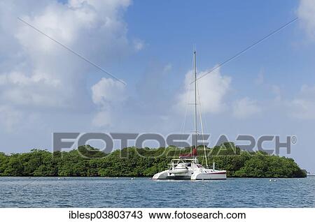 "Catamaran in front of an offshore island near Isla Linton, Colon, Caribbean, Panama, North America" View Large Photo Image Stock Image - "Catamaran in front of an offshore island near Isla Linton, Colon, Caribbean, Panama, North America". Fotosearch