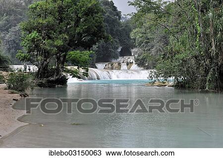 "Cataratas de Agua Azul, Blue-water Falls, Chiapas, Mexico, North America" View Large Photo Image Stock Image - "Cataratas de Agua Azul, Blue-water Falls, Chiapas, Mexico, North America". Fotosearch