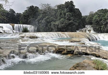 "Cataratas de Agua Azul, Blue-water Falls, Palenque, Chiapas, Mexico, North America" View Large Photo Image Stock Photography - "Cataratas de Agua Azul, Blue-water Falls, Palenque, Chiapas, Mexico, North America". Fotosearch