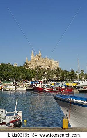 "Cathedral La Seu and the fishing port, Palma de Mallorca, Majorca, Balearic Islands, Spain, Europe" View Large Photo Image Picture - "Cathedral La Seu and the fishing port, Palma de Mallorca, Majorca, Balearic Islands, Spain, Europe". Fotosearch