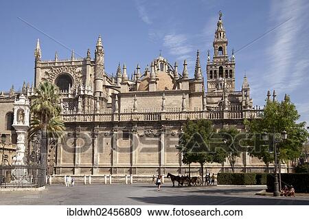 "Cathedral of Santa Maria de la Sede, UNESCO World Cultural Heritage Site, Seville, Andalusia, Spain, Europe, PublicGround, Europe" View Large Photo Image Stock Photo - "Cathedral of Santa Maria de la Sede, UNESCO World Cultural Heritage Site, Seville, Andalusia, Spain, Europe, PublicGround, Europe". Fotosearch