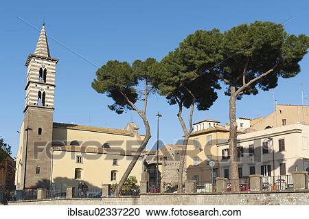 "Catholic Christianity, church of San Giovanni in Piazza dei Caduti, stone pine trees (Pinus pinea), Viterbo, Lazio, Italy, Southern Europe, Europe" View Large Photo Image Stock Image - "Catholic Christianity, church of San Giovanni in Piazza dei Caduti, stone pine trees (Pinus pinea), Viterbo, Lazio, Italy, Southern Europe, Europe". Fotosearch