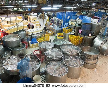 "Caught fish in tanks 3, central fish market, Ho Chi Minh City, Vietnam, Asia" View Large Photo Image Stock Image - "Caught fish in tanks 3, central fish market, Ho Chi Minh City, Vietnam, Asia". Fotosearch