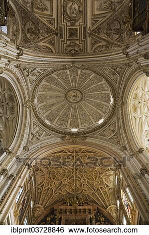 "Ceiling of the Mosque–Cathedral of Cordoba, Mezquita or Great Mosque of Cordoba, Cordoba, Cordoba province, Andalusia, Spain, Europe" View Large Photo Image Stock Photograph - "Ceiling of the Mosque–Cathedral of Cordoba, Mezquita or Great Mosque of Cordoba, Cordoba, Cordoba province, Andalusia, Spain, Europe". Fotosearch