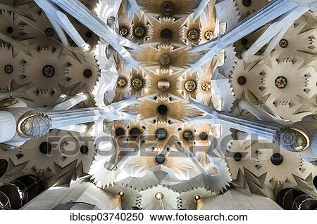 "Ceiling of the Sagrada Familia, or Basilica i Temple Expiatori de la Sagrada Familia, Basilica and Expiatory Church of the Holy Family, by architect Antoni Gaudi, Barcelona, Catalonia, Spain, Europe" View Large Photo Image Stock Image - "Ceiling of the Sagrada Familia, or Basilica i Temple Expiatori de la Sagrada Familia, Basilica and Expiatory Church of the Holy Family, by architect Antoni Gaudi, Barcelona, Catalonia, Spain, Europe". Fotosearch