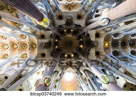 "Ceiling of the Sagrada Familia, or Basilica i Temple Expiatori de la Sagrada Familia, Basilica and Expiatory Church of the Holy Family, by architect Antoni Gaudi, Barcelona, Catalonia, Spain, Europe" View Large Photo Image Stock Photo - "Ceiling of the Sagrada Familia, or Basilica i Temple Expiatori de la Sagrada Familia, Basilica and Expiatory Church of the Holy Family, by architect Antoni Gaudi, Barcelona, Catalonia, Spain, Europe". Fotosearch