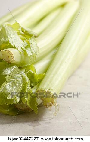 Celery View Large Photo Image Stock Photo - Celery. Fotosearch