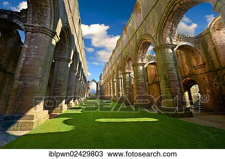 "Central Aisle of Fountains Abbey, founded in 1132, ruined Cistercian monastery, part of Studley Royal Water Garden, UNESCO World Heritage Site, near Ripon, North Yorkshire, England, United Kingdom, Europe" View Large Photo Image Stock Image - "Central Aisle of Fountains Abbey, founded in 1132, ruined Cistercian monastery, part of Studley Royal Water Garden, UNESCO World Heritage Site, near Ripon, North Yorkshire, England, United Kingdom, Europe". Fotosearch