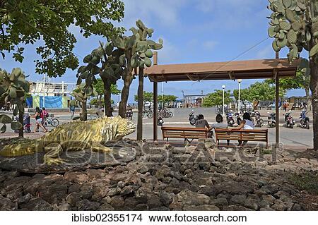 "Central square at the harbour of Puerto Ayora, Santa Cruz Island, Indefatigable Island, Galapagos Islands, Ecuador, South America" View Large Photo Image Picture - "Central square at the harbour of Puerto Ayora, Santa Cruz Island, Indefatigable Island, Galapagos Islands, Ecuador, South America". Fotosearch