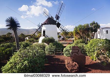 "Centro de Artesania Molino de Antigua, open-air museum, Antigua, Fuerteventura, Canary Islands, Spain, Europe" View Large Photo Image Stock Photo - "Centro de Artesania Molino de Antigua, open-air museum, Antigua, Fuerteventura, Canary Islands, Spain, Europe". Fotosearch