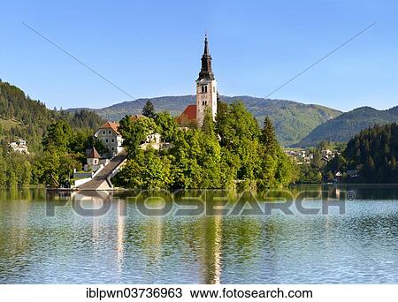 Stock Image - "Cerkev Marijinega vnebovzetja or Assumption Church on Bled Island in the middle of Lake Bled, Bled, Upper Carniola, Slovenia, Europe". Fotosearch