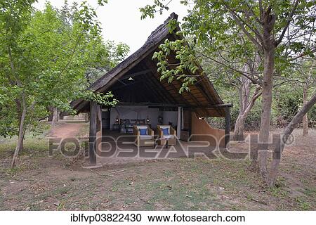"Chalet of the Nkwali Lodge, Mfuwe, South Luangwa National Park, Zambia, Africa" View Large Photo Image Stock Image - "Chalet of the Nkwali Lodge, Mfuwe, South Luangwa National Park, Zambia, Africa". Fotosearch