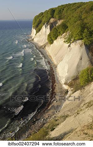 Picture - "Chalk cliffs and a forest of European Beech (Fagus sylvatica), UNESCO World Natural Heritage Site, lookout point called Ernst-Moritz-Arndt-Sicht, Jasmund National Park, Ruegen, Mecklenburg-Western Pomerania, Baltic Sea, Germany, Europe". Fotosearch