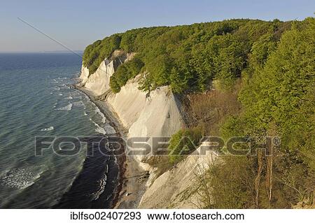Stock Image - "Chalk cliffs and a forest of European Beech (Fagus sylvatica), UNESCO World Natural Heritage Site, lookout point called Ernst-Moritz-Arndt-Sicht, Jasmund National Park, Ruegen, Mecklenburg-Western Pomerania, Baltic Sea, Germany, Europe". Fotosearch