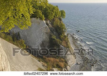 Stock Photograph - "Chalk cliffs and a forest of European Beech (Fagus sylvatica), UNESCO World Natural Heritage Site, Jasmund National Park, Ruegen, Mecklenburg-Western Pomerania, Baltic Sea, Germany, Europe". Fotosearch