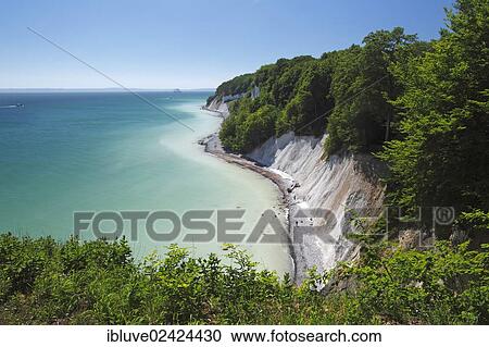 Chalk cliffs, Baltic Sea coast, beech grove, UNESCO World Heritage Site, Jasmund National Park, Isle of Ruegen, Mecklenburg-Western Pomerania, Germany, Europe View Large Photo Image Stock Image - Chalk cliffs, Baltic Sea coast, beech grove, UNESCO World Heritage Site, Jasmund National Park, Isle of Ruegen, Mecklenburg-Western Pomerania, Germany, Europe. Fotosearch