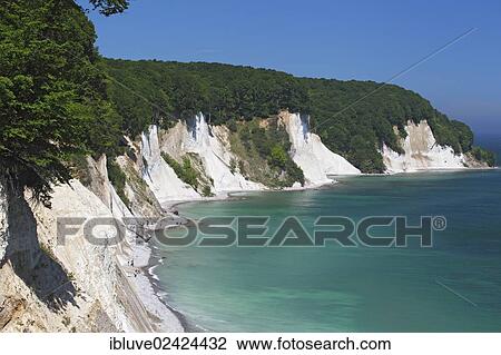 Chalk cliffs, Baltic Sea coast, beech grove, UNESCO World Heritage Site, Jasmund National Park, Isle of Ruegen, Mecklenburg-Western Pomerania, Germany, Europe View Large Photo Image Stock Image - Chalk cliffs, Baltic Sea coast, beech grove, UNESCO World Heritage Site, Jasmund National Park, Isle of Ruegen, Mecklenburg-Western Pomerania, Germany, Europe. Fotosearch