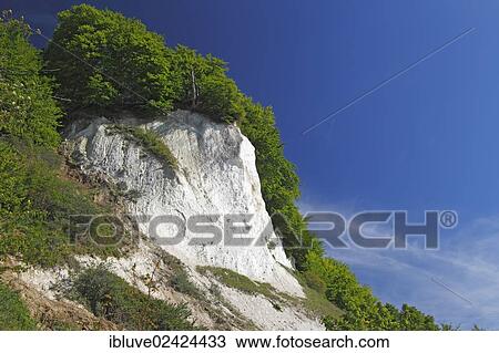 Stock Image - Chalk cliffs, Baltic Sea coast, beech grove, UNESCO World Heritage Site, Jasmund National Park, Isle of Ruegen, Mecklenburg-Western Pomerania, Germany, Europe. Fotosearch