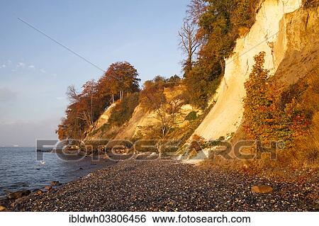 Stock Photograph - "Chalk cliffs in the morning light, Jasmund National Park, Rugen, Mecklenburg-Western Pomerania, Germany, Europe". Fotosearch