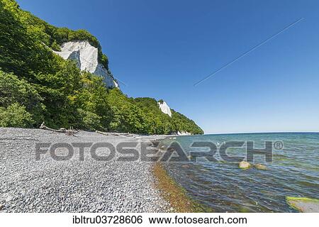 Stock Photograph - "Chalk cliffs, red beech forest on the coast, Rugen, Mecklenburg-Western Pomerania, Germany, Europe". Fotosearch