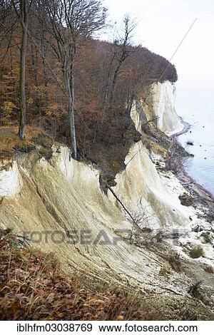 "Chalk cliffs with beech trees in autumn, Stubbenkammer, Insel Rugen, Sassnitz, Rugen, Mecklenburg-Western Pomerania, Germany, Europe" View Large Photo Image Stock Photo - "Chalk cliffs with beech trees in autumn, Stubbenkammer, Insel Rugen, Sassnitz, Rugen, Mecklenburg-Western Pomerania, Germany, Europe". Fotosearch