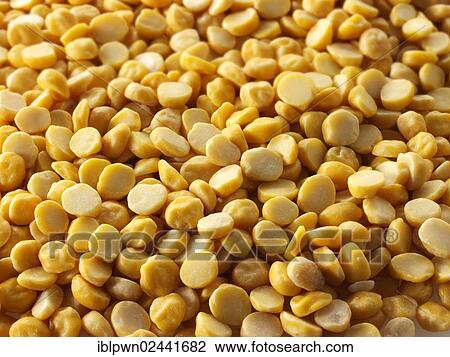Chana Dhal oder Dal beans View Large Photo Image Stock Image - Chana Dhal oder Dal beans. Fotosearch